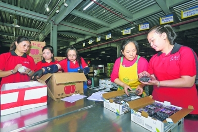 贵阳 “五子登科”引领产业振兴，生鲜经济焕发新活力